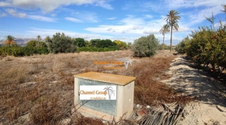 Alicante - Elche - 6445m2