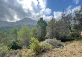 Casa de camp amb terreny en venda a la España, Benigembla, ref.: TR295733 foto