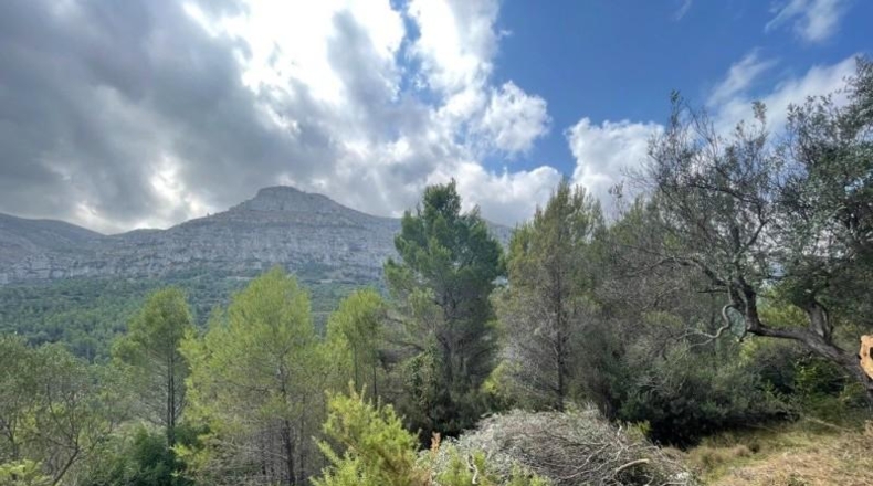 Alicante - Benichembla - 1700m2