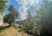 Casa de camp amb terreny en venda a la España, Benigembla, ref.: TR295733 foto