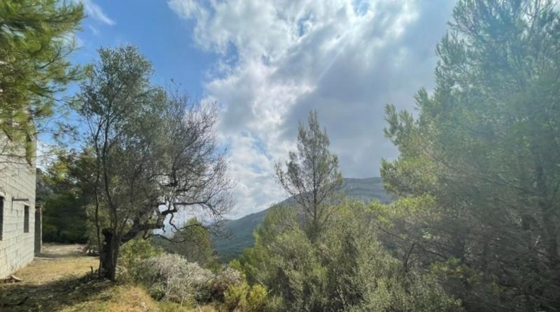 Alicante - Benichembla - 1700m2