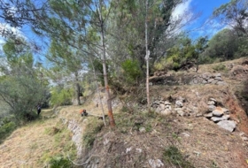 Foto 13