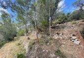 Casa de camp amb terreny en venda a la España, Benigembla, ref.: TR295733 foto