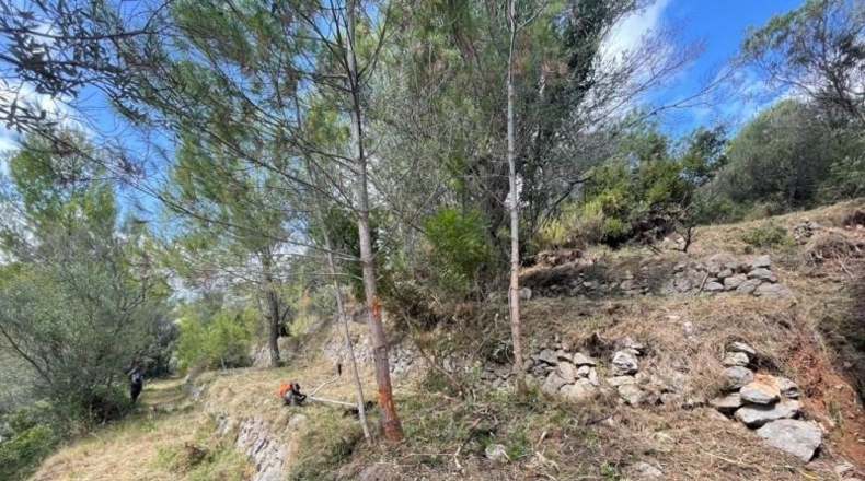 Alicante - Benichembla - 1700m2