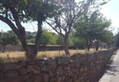 Casa de camp amb terreny en venda a la España, Ponferrada, ref.: TR297580 foto