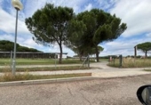 Casa con terreno en venta en la España, Aldeamayor de San Martín, ref: TR303616 foto