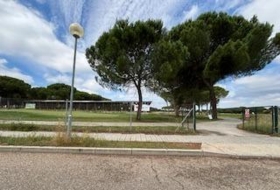 Foto 7