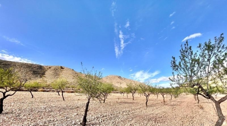 Alicante - Oriola - 14305m2