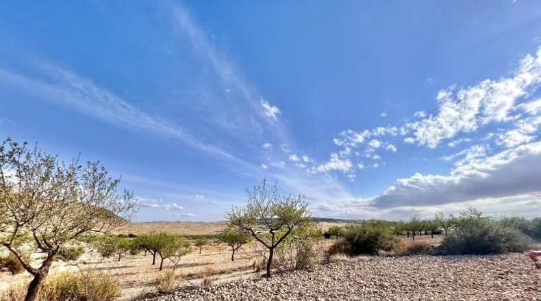 Alicante - Oriola - 14305m2