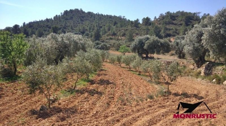 Tarragona - Ribarroja de Ebro - 22203m2