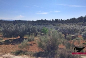 Riba-roja d'Ebre 22203&nbsp;m² 