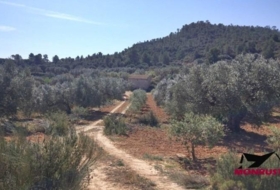 Riba-roja d'Ebre 22203&nbsp;m² 