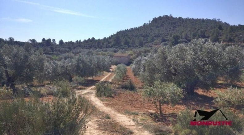 Tarragona - Ribarroja de Ebro - 22203m2