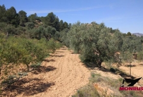 Riba-roja d'Ebre 22203&nbsp;m² 