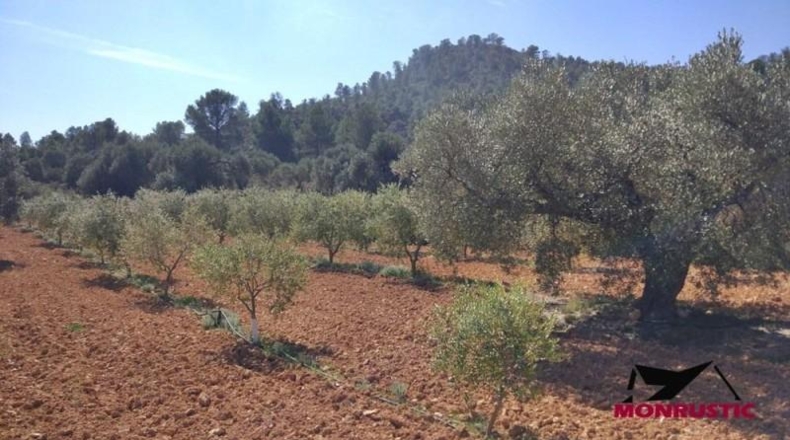 Tarragona - Ribarroja de Ebro - 22203m2