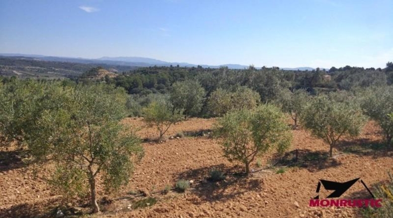 Tarragona - Ribarroja de Ebro - 22203m2