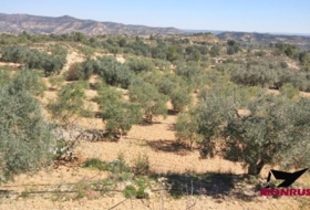 Riba-roja d'Ebre 22203&nbsp;m² 