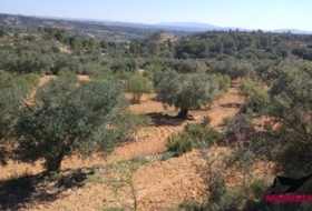 Riba-roja d'Ebre 22203&nbsp;m² 