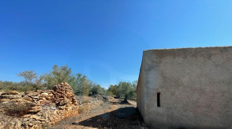 Tarragona - l'Ampolla - 29242m2