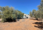 Country house with land for sale on España, l'Ampolla, ref: TR300249 photo