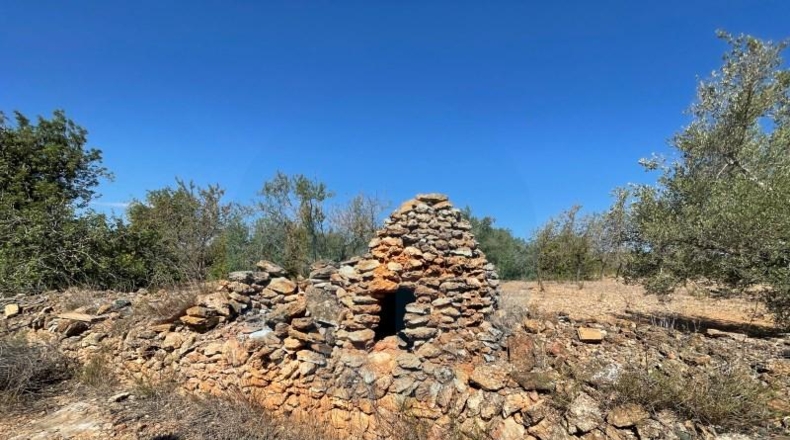 Tarragona - l'Ampolla - 29242m2