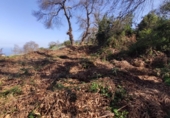 Non-developable land for sale on España, La Orotava, ref: TR127804 photo