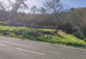 Non-developable land for sale on España, La Orotava, ref: TR127804 photo