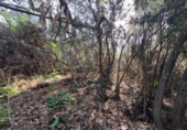 Non-developable land for sale on España, La Orotava, ref: TR127804 photo