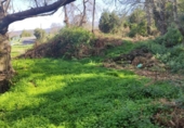 Non-developable land for sale on España, La Orotava, ref: TR127804 photo