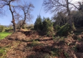 Non-developable land for sale on España, La Orotava, ref: TR127804 photo