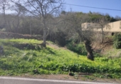 Non-developable land for sale on España, La Orotava, ref: TR127804 photo