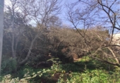 Non-developable land for sale on España, La Orotava, ref: TR127804 photo