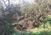 Non-developable land for sale on España, La Orotava, ref: TR127804 photo