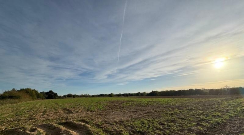 Gerona - Garriguella - 23000m2