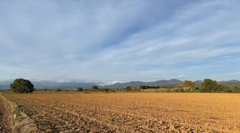 Gerona - Garriguella - 23000m2