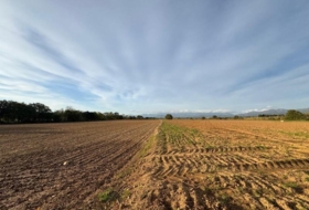 Garriguella 23000&nbsp;m² 