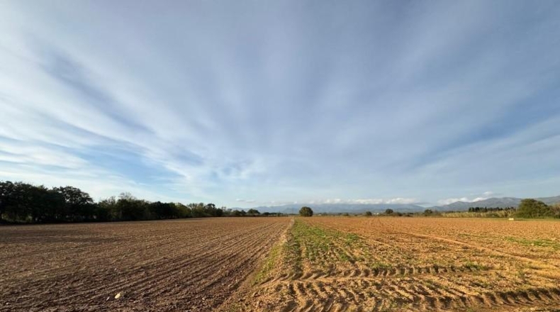 Gerona - Garriguella - 23000m2