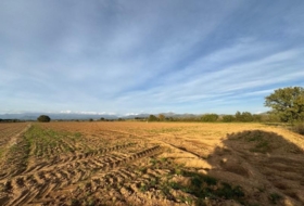 Garriguella 23000&nbsp;m² 