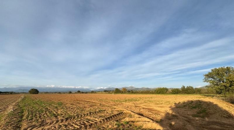 Gerona - Garriguella - 23000m2