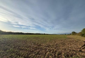 Garriguella 23000&nbsp;m² 