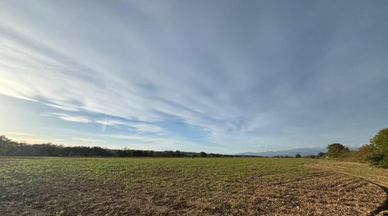 Gerona - Garriguella - 23000m2
