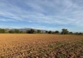 Terreny no urbanitzable en venda a la España, Garriguella, ref.: TR357063 foto