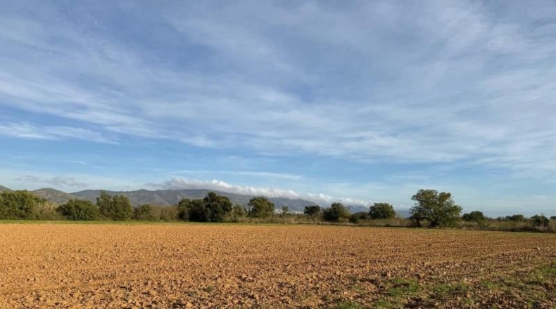 Gerona - Garriguella - 23000m2