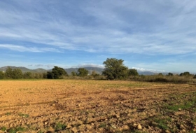 Garriguella 23000&nbsp;m² 