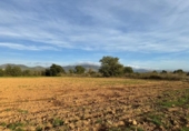 Terreny no urbanitzable en venda a la España, Garriguella, ref.: TR357063 foto