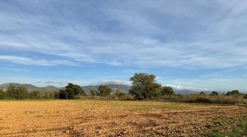 Gerona - Garriguella - 23000m2