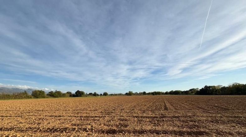Gerona - Garriguella - 23000m2