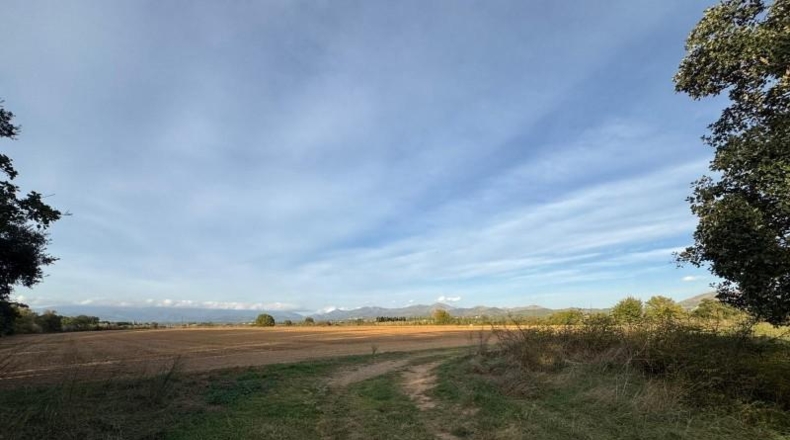 Gerona - Garriguella - 23000m2