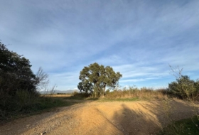 Garriguella 23000&nbsp;m² 