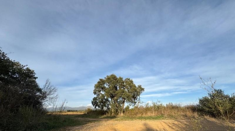 Gerona - Garriguella - 23000m2